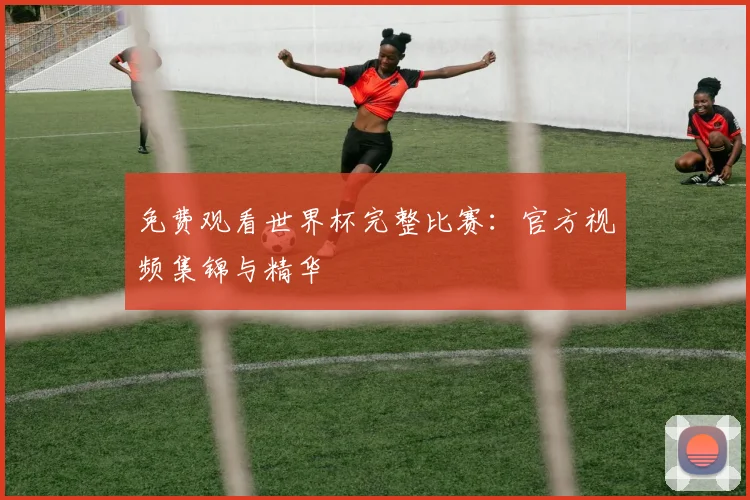 免费观看世界杯完整比赛：官方视频集锦与精华