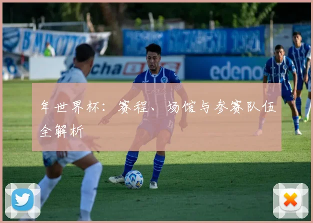 年世界杯：赛程、场馆与参赛队伍全解析