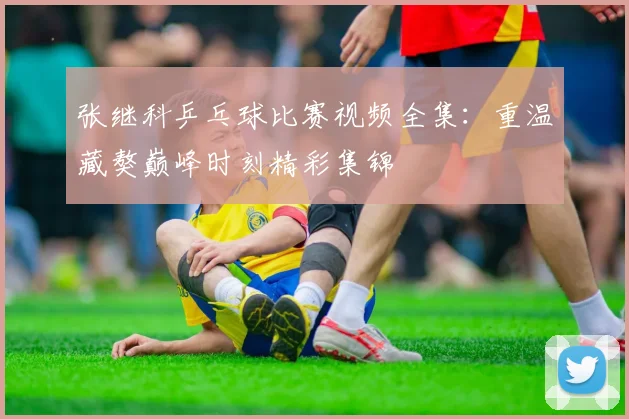 张继科乒乓球比赛视频全集：重温藏獒巅峰时刻精彩集锦